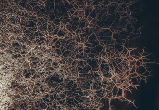 wouldyou_sitecover1500x1000